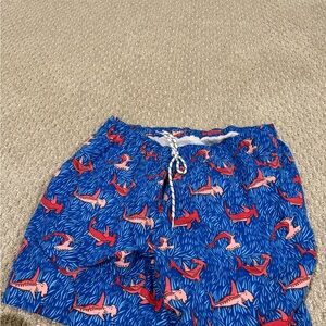 Vibrant Shark Print Swim Shorts